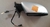 Retrovisor Elétrico/Manual Com Pisca Direito/Esquerdo Volkswagen Gol G5 2009/2011 (Usado) - loja online