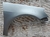 Paralama Direito Volkswagen Gol G6 G7 - 2013/2022 (Usado) - loja online