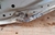 Capo Honda Hr-v - 2016/2022 (Usado) - comprar online