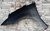 Paralama Dianterio Dirieto Citroen C4 Pallas - 2007/2013 (Usado) (Plastico) - comprar online