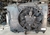 Kit Conjunto Radiador Ford Ecosport 1.5 1.6 16v Motor Sigma (Usado)