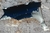 Paralama Dianteiro Direito Hyundai Tucson - 2008/2015 (Usado) - comprar online
