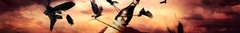 Banner de la categoría Bitters
