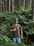 Camiseta Regular Old Saw Florest - loja online