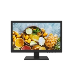 MONITOR 19 LCD