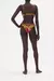 BIKINI UNDERWIRE BRA OCTOPIA - Boutique Narita