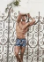 Boxer estampado Lody 904