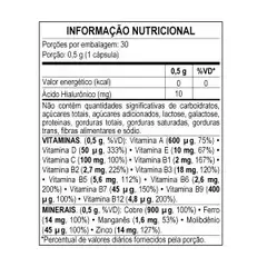 NutriDaily MULHER Polivitamínico 500mg 30 Cáps - ApisNutri - comprar online
