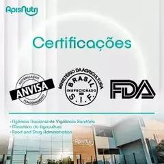NutriDaily Polivitamínico Min. A a Z 450mg 60 Cáps - ApisNutri - Peculiar Produtos Naturais