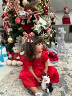 Parzinho Reninha de Natal na internet