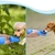 Garrafa Bebedouro Pet Portátil 2 em 1 Água e Ração - comprar online