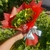 Buquê 7 Rosas Eternas na internet