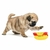Mordedor hot dog