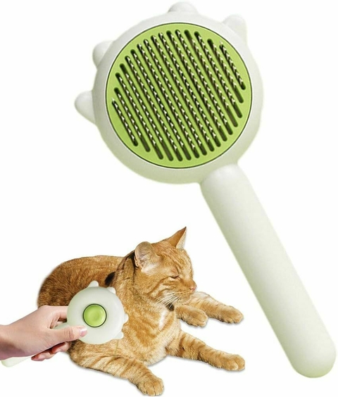 Pente de Escamação