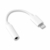 Adaptador p2 p/iphone - loja online