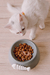 Imagem do Comedouro Pote Ceramica Porcelana 200ml Gato Pet Bella Nat