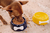 Comedouro Pote Em Ceramica Bella Osso Pequeno 200ml Cachorro - loja online
