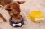 Comedouro Pote Em Ceramica Bella Osso Pequeno 200ml Cachorro - loja online