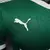 Camisa Palmeiras Home 25/26 - Jogador Masculina Verde - CAMISAS DE FUTEBOL | Bruxo Imports