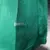 Camisa Palmeiras Home 25/26 - Jogador Masculina Verde