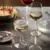 Bicchiere Universum Tumbler _ caja x 6 en internet