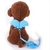 Pretal Y Correa Regulable Con Alitas Perro Gato Mascotas - comprar online