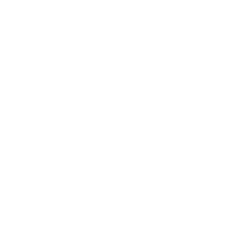 Roma fusión
