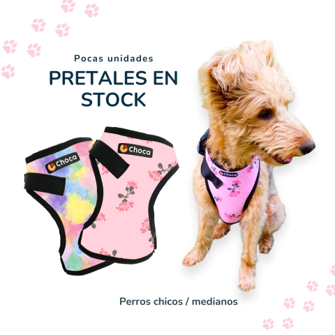 Pretales de Paseo - ¡Entrega inmediata!