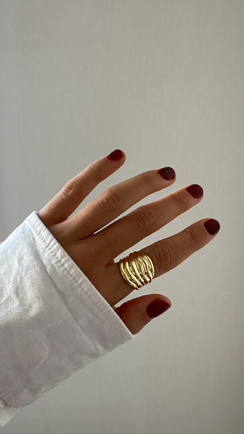 Anillo Serva