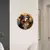 Placa decorativa Border Collie
