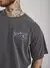 Imagem do Camiseta Regular Estampada Butterfly (Cinza Estonado)