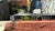 Processador Áudio Behringer Dcx2496 - comprar online