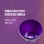 Pote Roxo de 1 Litro com Tampa Lacre - comprar online