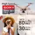Cartão de Memória SONY Micro SD