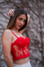 Corset 3d Mariposas
