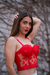 Corset 3d Mariposas - comprar online