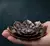 Incense Stick Censer Lotus Flower on internet
