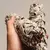 Natural White Sage Incense for Energy Purification, Banishment, and Meditation