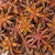 Natural Star Anise