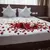 Dry Rose Petals, 10g until 1000g - AIAH