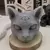 Three Eyes Cat Scented Candles - AIAH