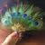 Image of Elegant Peacock Feather Fan