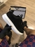 Tenis MQ
