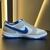 NK DUNK LOW na internet