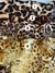 Camisas Seda Print - comprar online