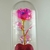 Rosa Encantada de Flor Eterna com Lousa e Luz - comprar online