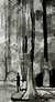 DRIPPING OF FOREST - comprar online