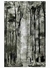 DRIPPING OF FOREST en internet