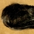 GATITO - comprar online