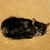 GATITO
